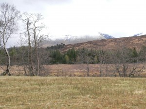 Glencoe camping