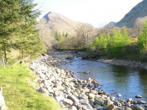 Glencoe Red Squirrel campsite