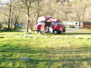 Glencoe Red Squirrel campsite