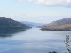 P1050173