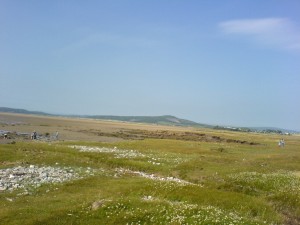 DSC00119