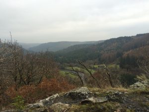 IMG_0762