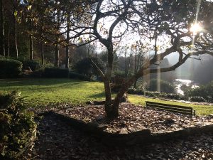 IMG_0801