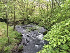 IMG_1431