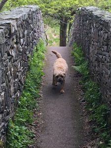 IMG_1453